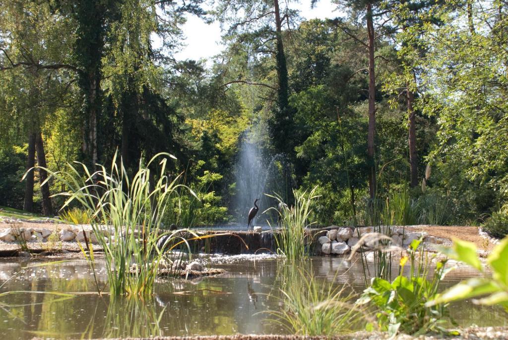 Chateau Visz Bagian luar foto