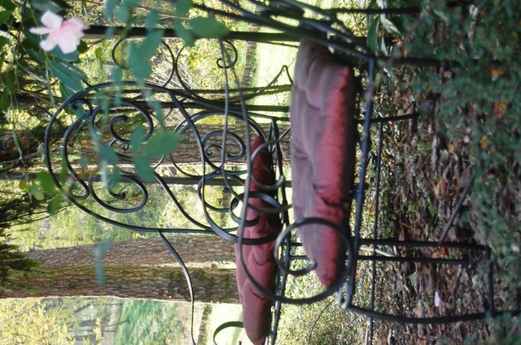Chateau Visz Bagian luar foto